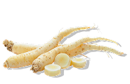 Fresh ginseng roots with sliced pieces isolated on a transparent background.
