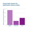 Dream Well: Holistic Sleep Drink Solution, Sleep Aid, Non-Habit Forming with Lemon Balm, Jujube Seed, Melatonin, Glycine - More Labs